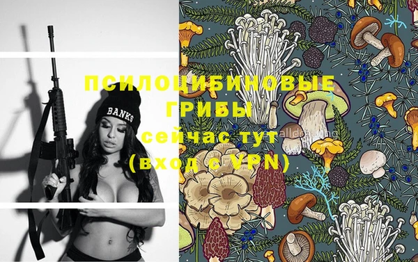 твердый Зеленокумск