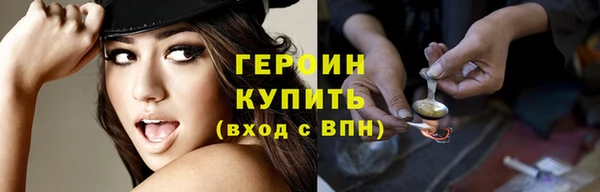 индика Инсар