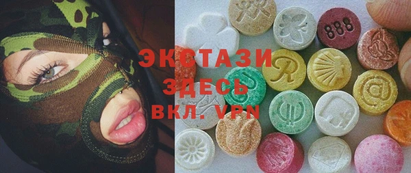 индика Инсар