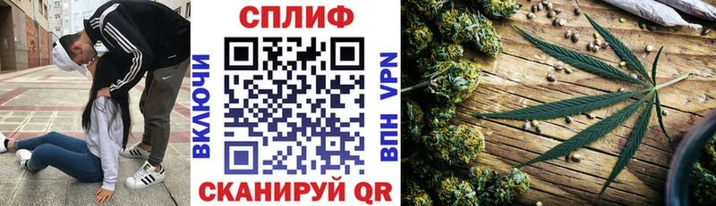 Бошки марихуана план Мончегорск